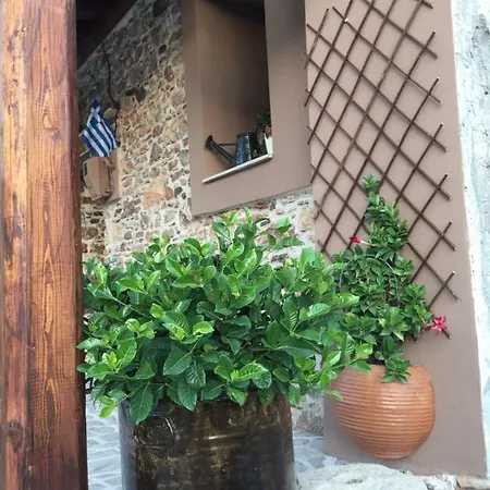 Areti's Traditional House * Apollona